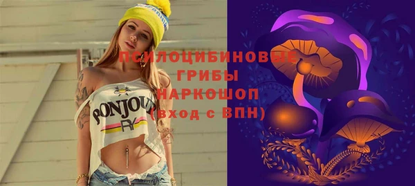 индика Белоозёрский