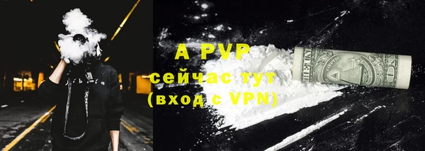 PSILOCYBIN Арсеньев