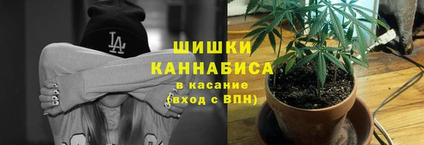 каннабис Белокуриха
