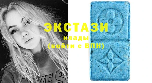 индика Белоозёрский