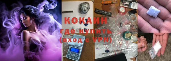 индика Белоозёрский