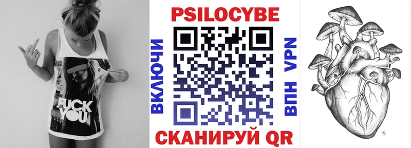 Псилоцибиновые грибы мицелий  Кашин 
