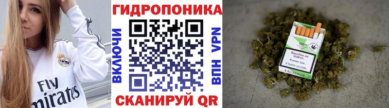 Марихуана сатива  ОМГ ОМГ ссылка  Кашин 